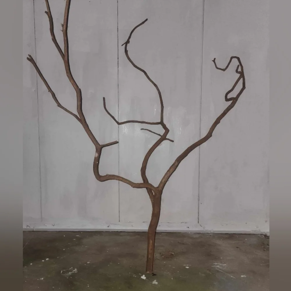 Custom exotic bird perch stands